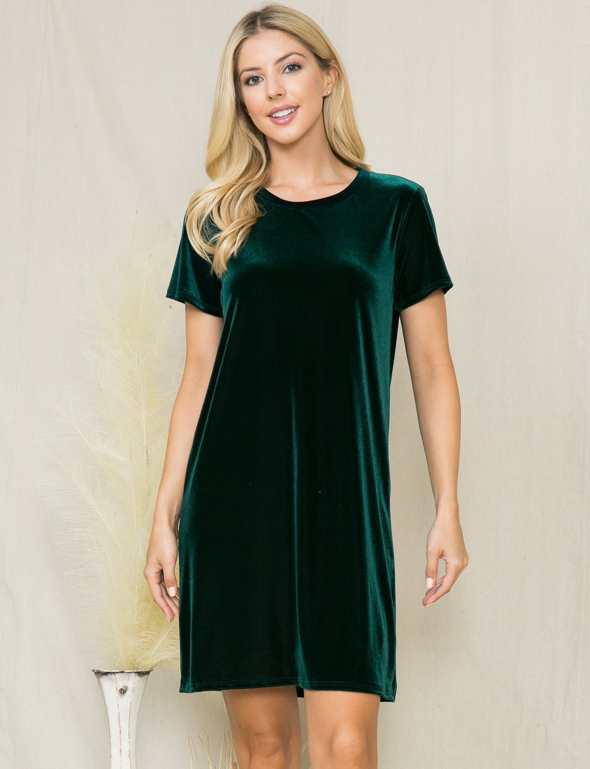 Velvet Short Sleeve Mini Dress – Dressbarn