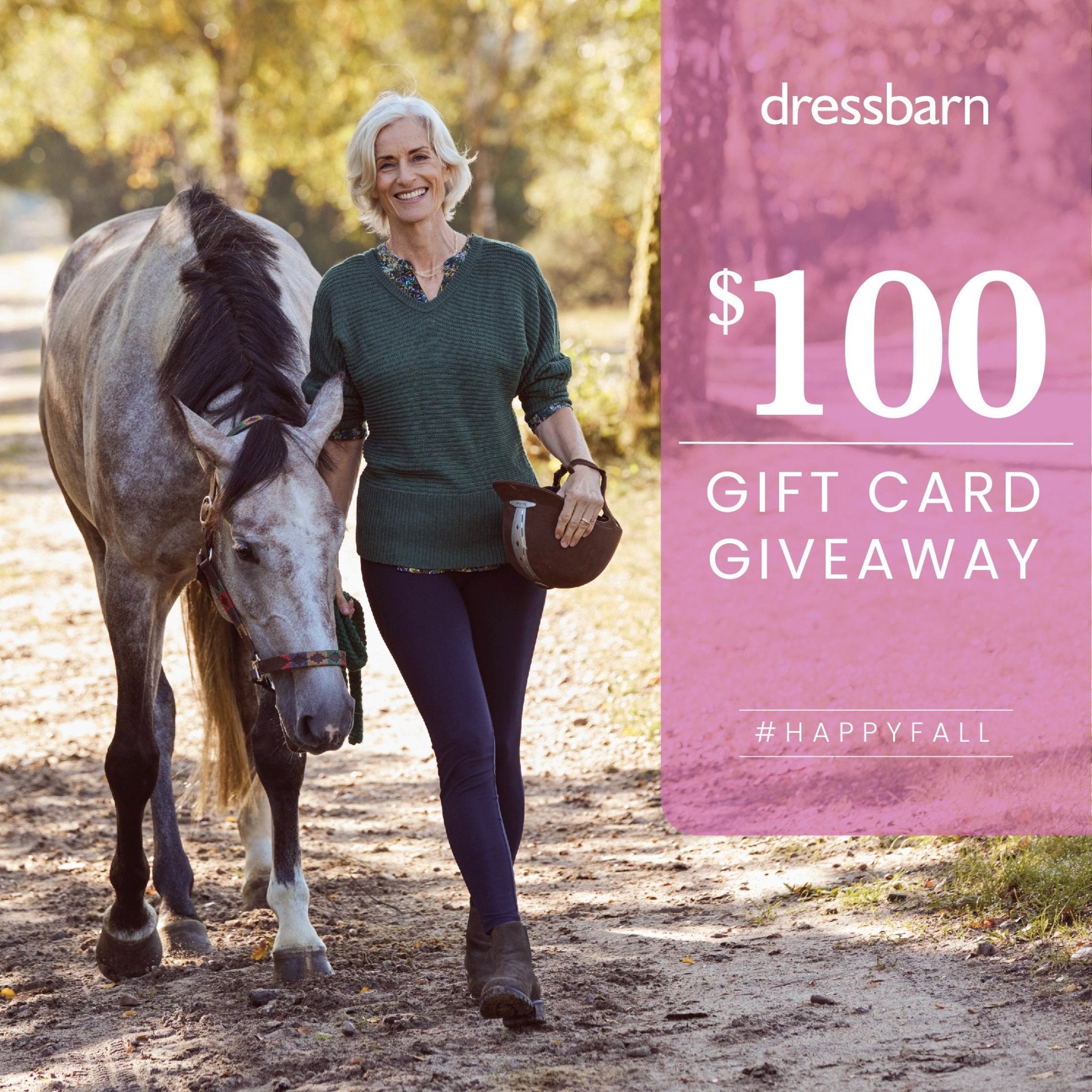 Pier 1/Dress Barn $100 Gift Card Sweepstakes Official Rules - Dressbarn