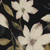 3/4 Sleeve Mandarin Collar Popover Blouse