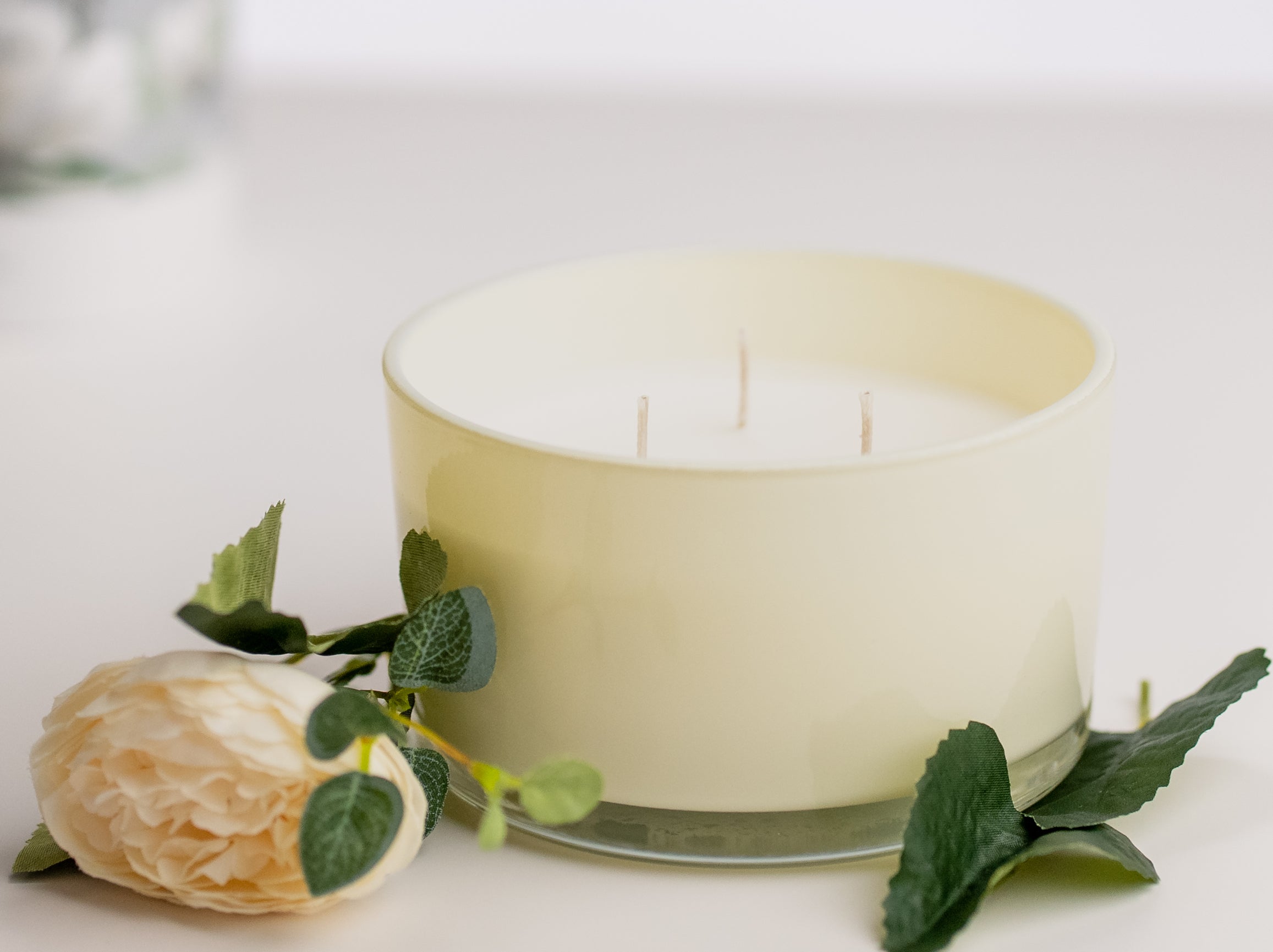 Pier-1-Magnolia-Blooms-Filled-3-Wick-Candle-14oz-Candles