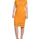 Short Sleeve Dress With Mesh Insets, Petite