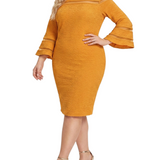 Long Bell Sleeve Dress With Contrast Striping, Plus