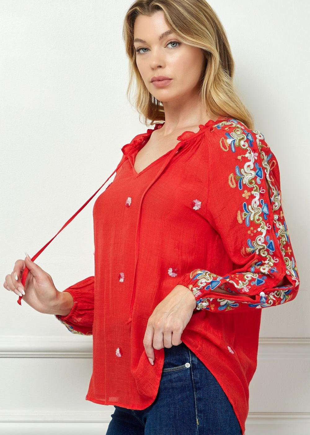 Embroidered Long Sleeve V - Neck Blouse - DressbarnShirts & Blouses