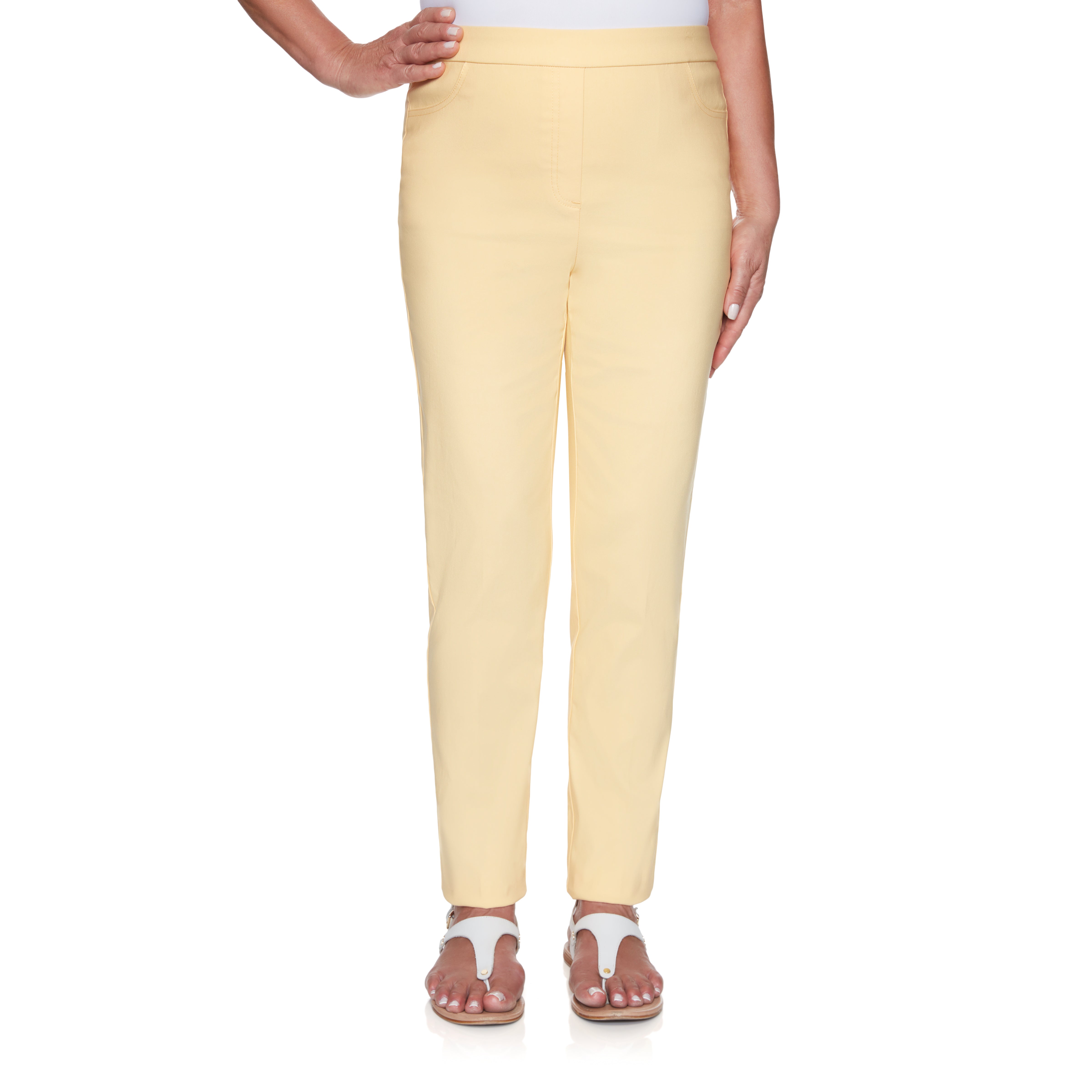 Alfred Dunner Petite Classic Allure Fit Proportioned Pant with Elastic Comfort Waistband Average Length