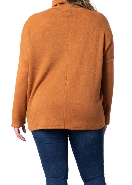 Paris Turtleneck Tunic Sweater - Plus - DressbarnTurtleneck Sweaters