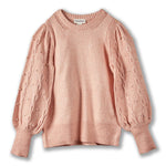 Pearl Trim Crew Neck Sweater - DressbarnShirts & Blouses