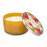 Pier-1-Apple-Cider-14oz-Filled-3-Wick-Candle-Candles