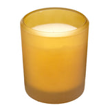 Pier 1 Apple Cider Boxed 8oz Soy Candle