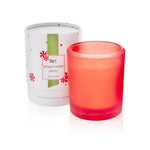 Pier-1-Peppermint-Party-8oz-Boxed-Soy-Candle-Candles
