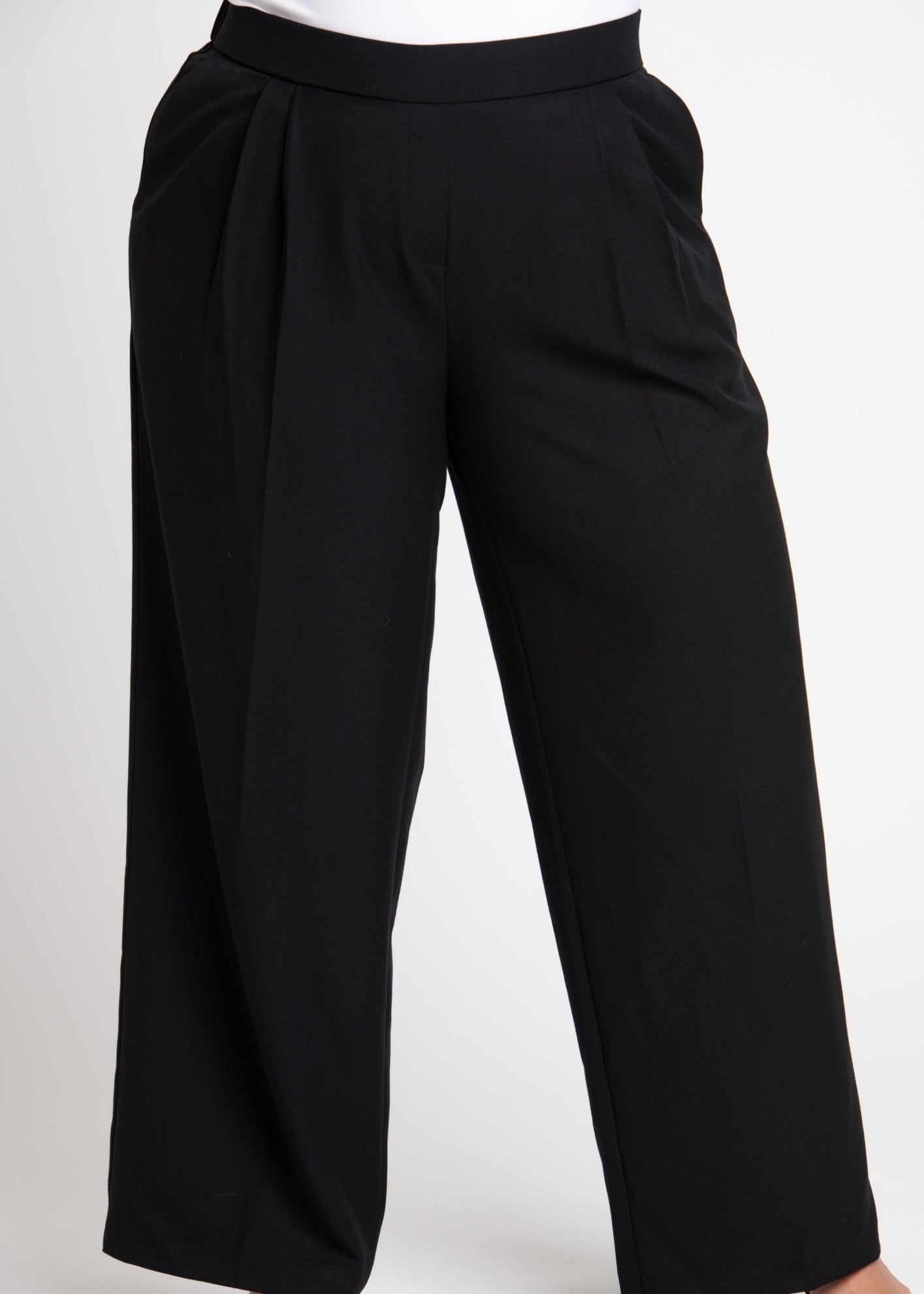 Roz & Ali Pleated Wide Leg Trouser Pants - Plus - DressbarnPants