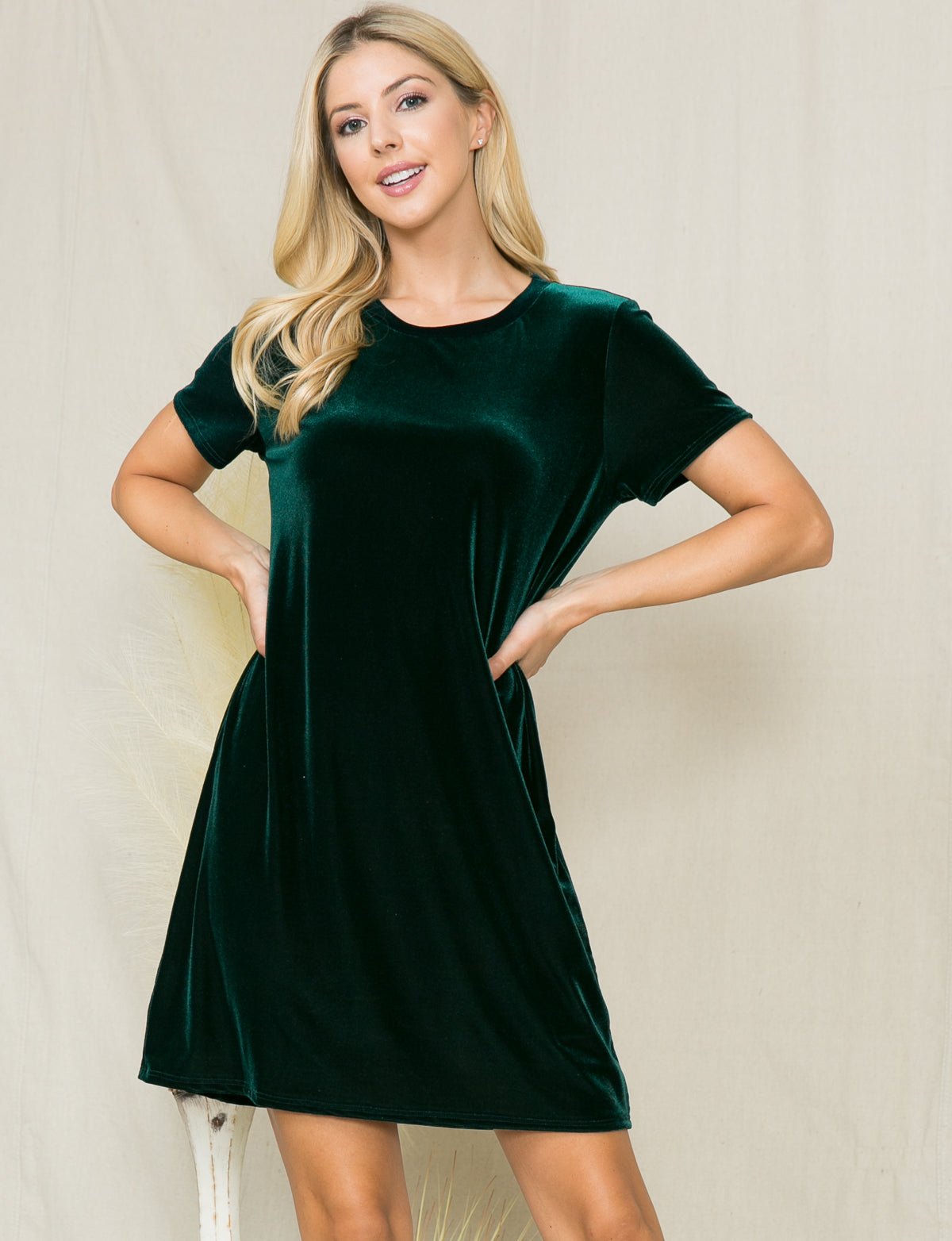 Velvet Short Sleeve Mini Dress - DressbarnDresses