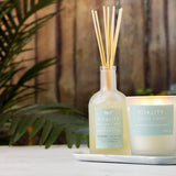Pier-1-Vitality-Matcha-&-Mint-Aromatherapy-Reed-Diffuser-Home-Fragrances
